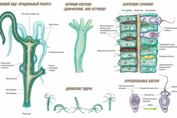 Kraken зарегистрироваться