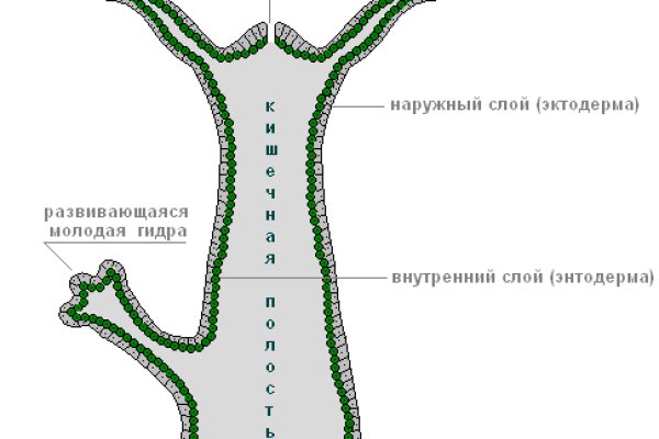 Кракен маркетплейс актуальные ссылки