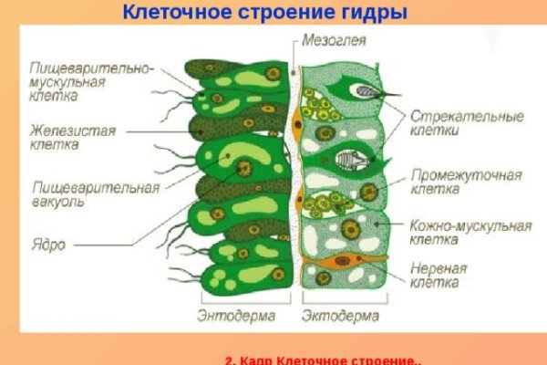 Ссылка на кракен официальный сайт