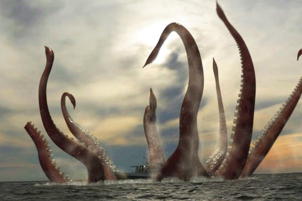 Kraken верификация