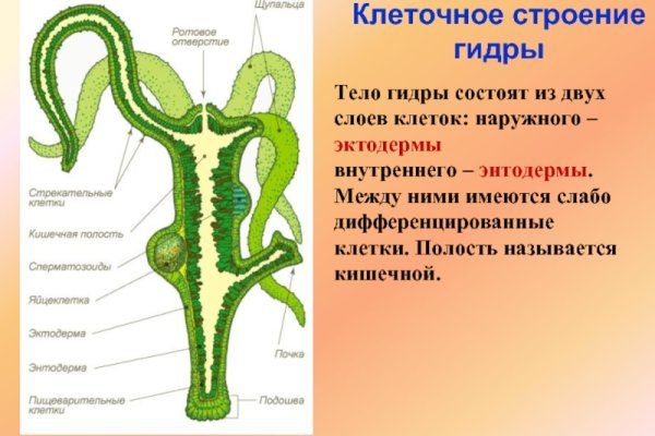 Кракен сайт krk store com