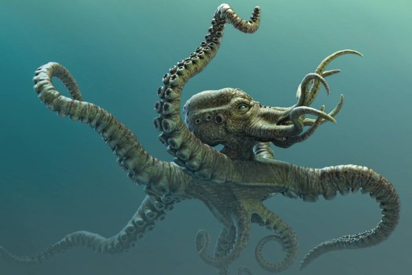 Kraken где