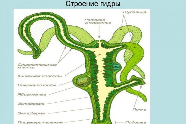 Кракен наркомаркетплейс